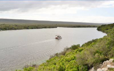 World Wetlands Day: Discover SA’s 23 wetlands and why they are important