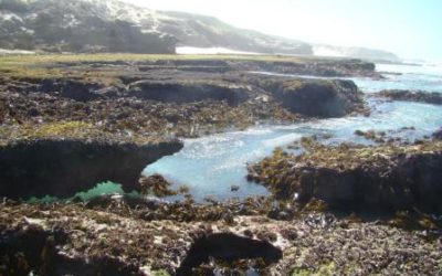 Overberg Lappies Kombers