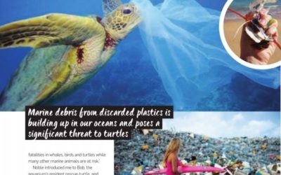Plastic Jellyfish