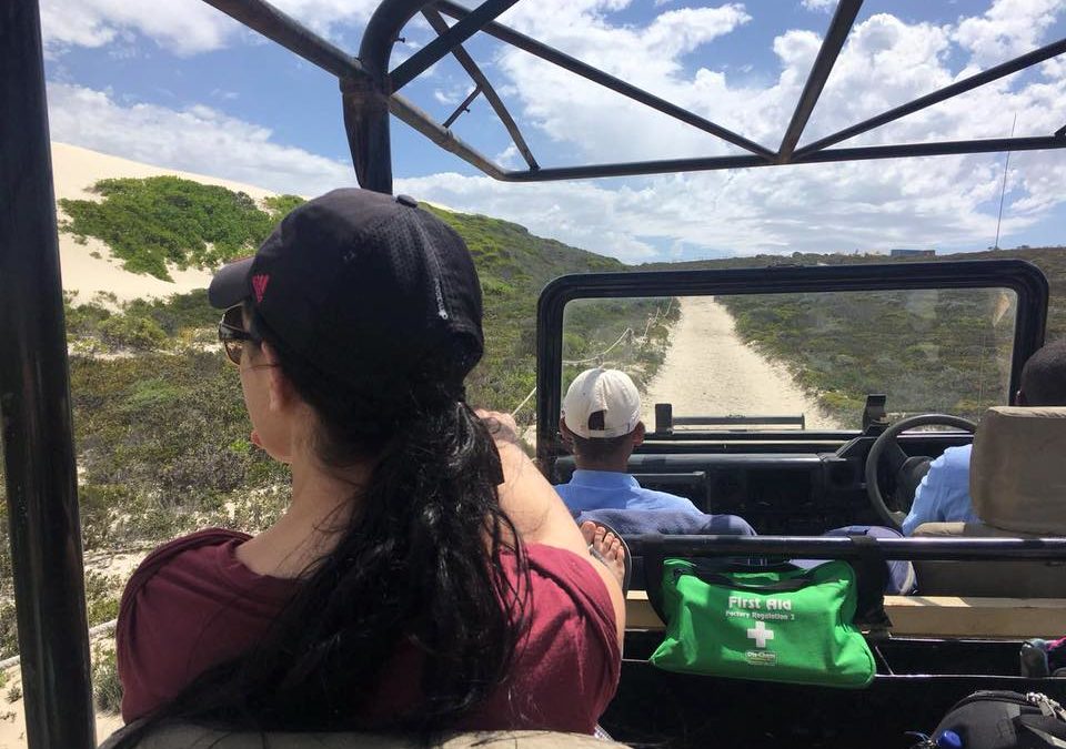 Nature Drive Experience