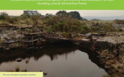 Pietersieliekloof Wetland Rehabilitation Project