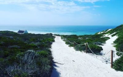 Whiling away days at De Hoop – a nature lover’s respite