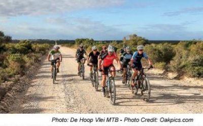 Explore Unridden Gems in the De Hoop Viei MTB