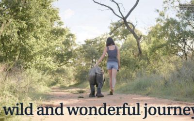 A Wild and Wonderful Journey