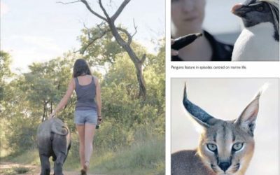 Tears, joy in new wildlife series
