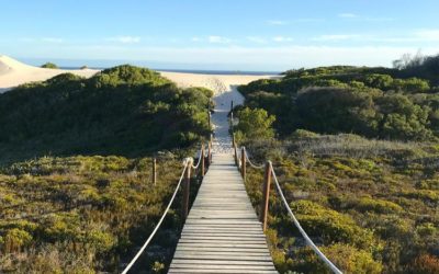 A Yoga Retreat At De Hoop Nature Reserve With Instructor Kate Ball