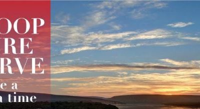 DE HOOP NATURE RESERVE YOU`LL HAVE A WHALE OF A TIME