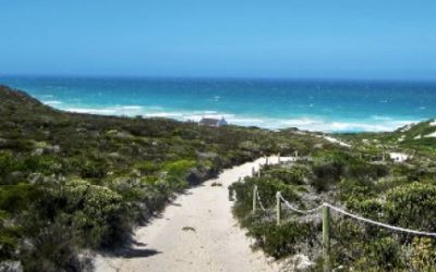 Wine and Wildlife on the Cape