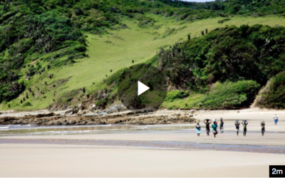Getting fishy: What you should know about SA’s 19 marine protected areas