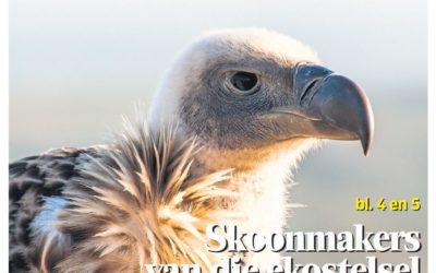 Skoonmakers van die ekostelsel
