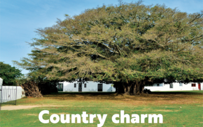Country Charm