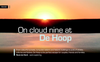 On cloud nine at De Hoop