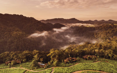 NEW LUXURY HOTELS SET TO OPEN ACROSS AFRICA IN 2019