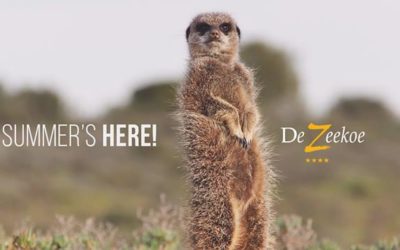 Cape Country Routes – Special Winter Offers