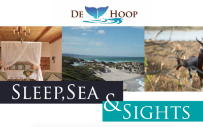Sleep, Sea & Sights