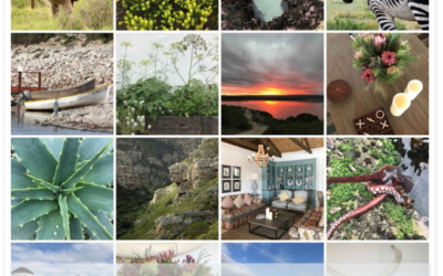 UNESCO Heritage listed De Hoop Nature Reserve – Guide for First Time Visitors – THE TOURISTIN