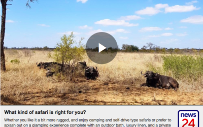 WATCH: What kind of safari is right for you?