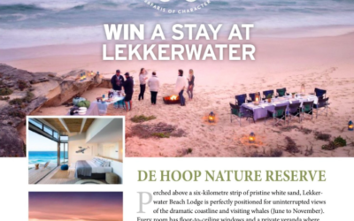 WIN A STAY AT LEKKERWATER