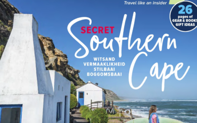 THE SECRET SOUTH