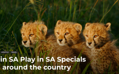 Stay in SA Play in SA Specials from around the country