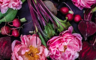 BEET THE MID WINTER BLUES