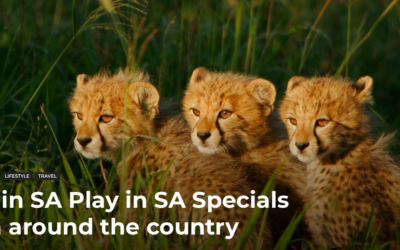 Stay in SA Play in SA Specials from around the country