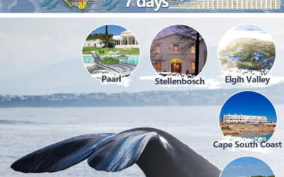 Cape Country Routes’ stunning Wine and Whales 7-day Tour Package