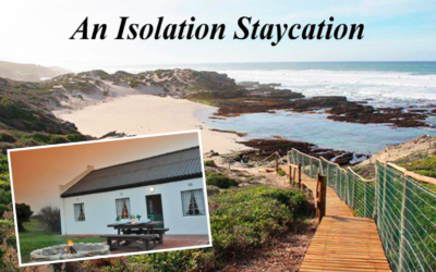 An Isolation Staycation
