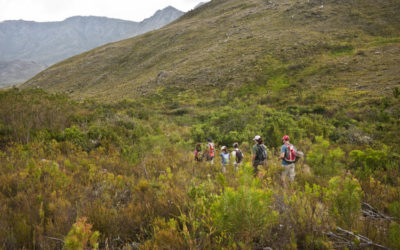12 gorgeous spots for a day hike in the Western Cape during lockdown.