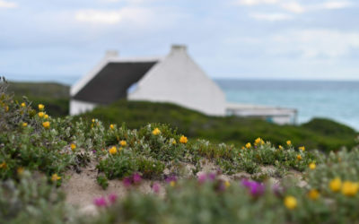 DE HOOP COLLECTION