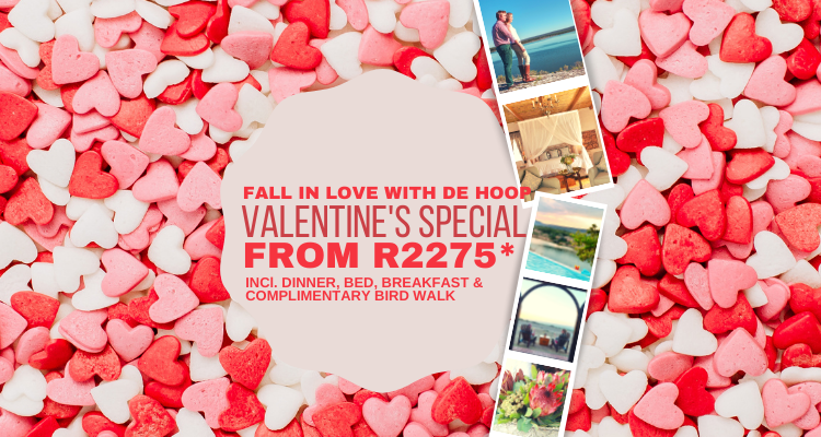 Fall in love with De Hoop: Valentine’s Special