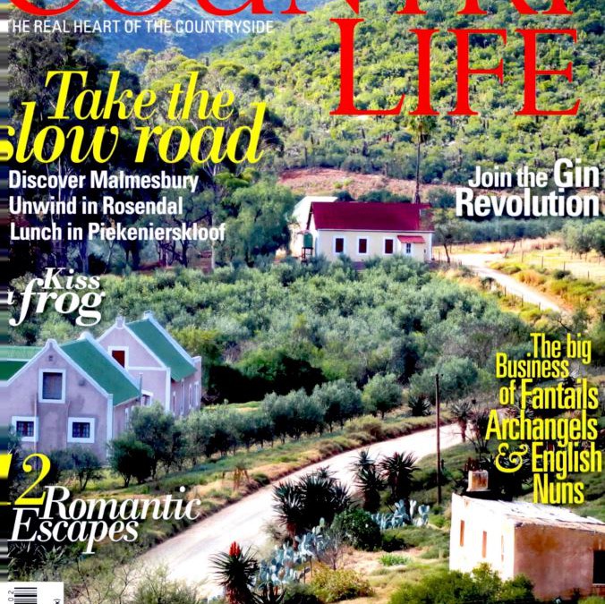 Country Life Feb 2017