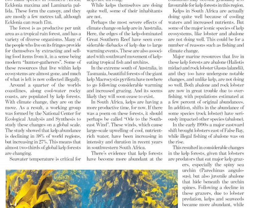 New Age May 2017