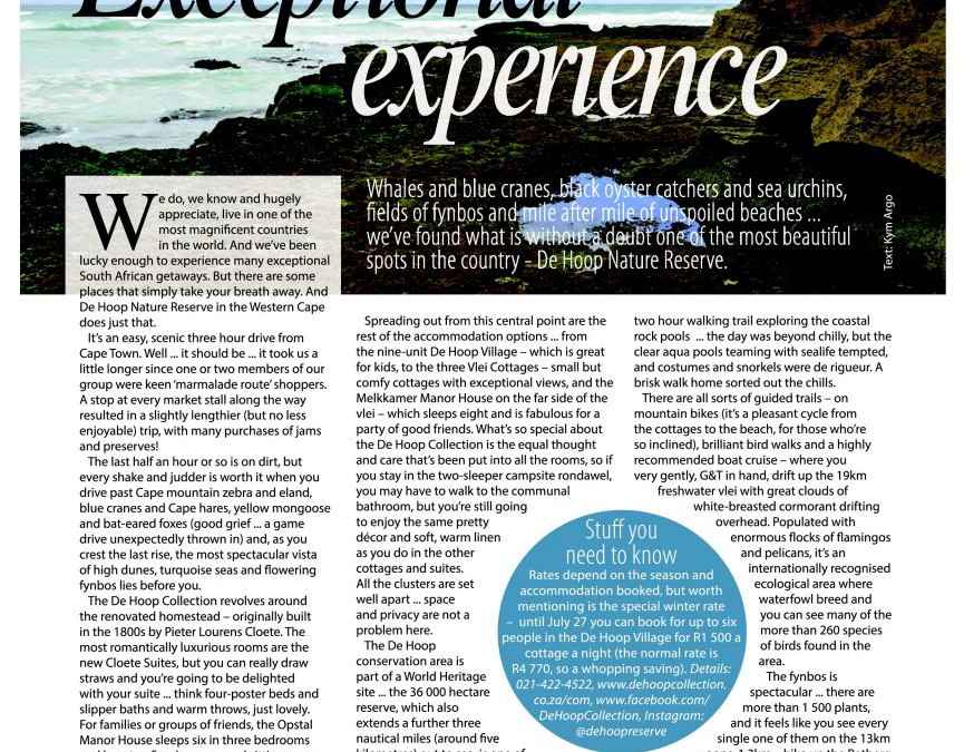 Exceptional Experience July 2017