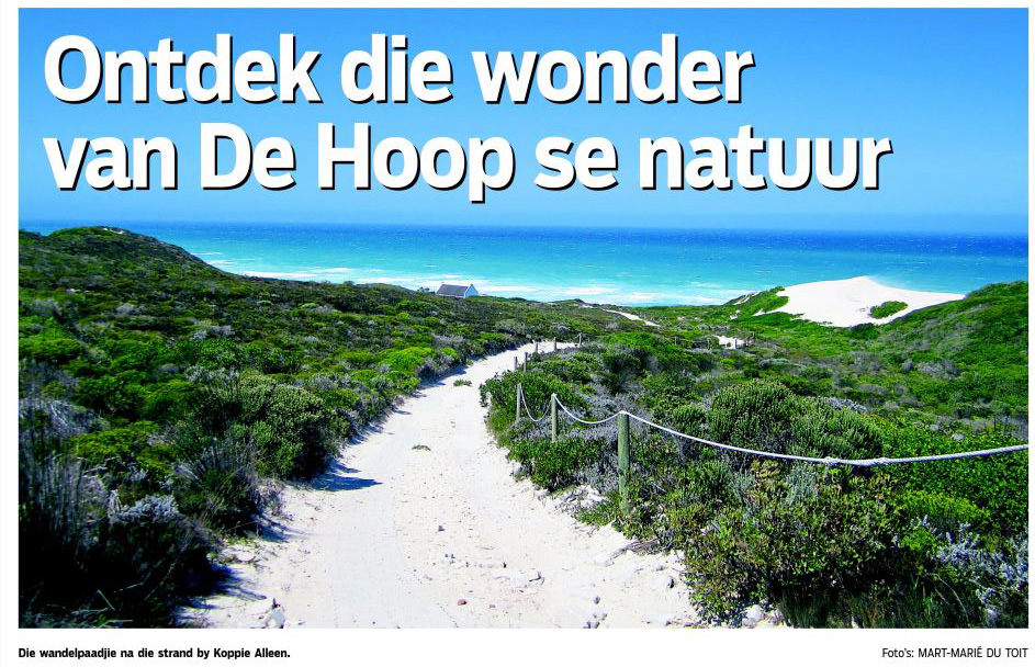 Die Beeld 2017