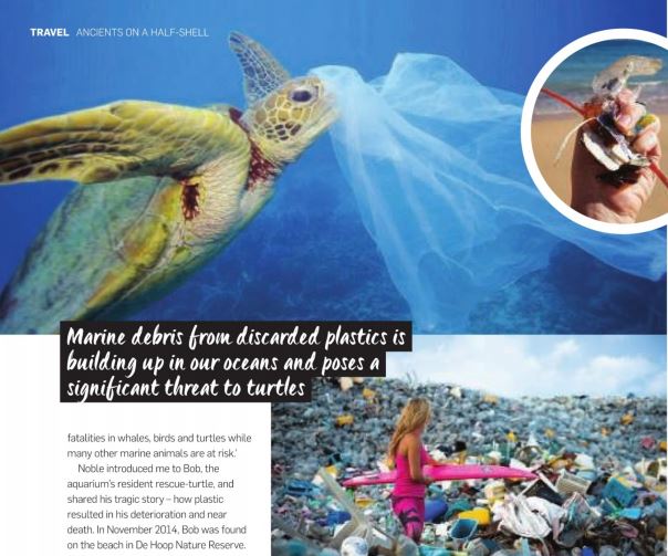 Plastic Jellyfish