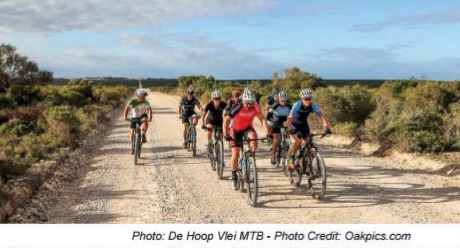 Explore Unridden Gems in the De Hoop Viei MTB