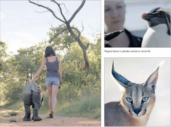 Tears, joy in new wildlife series