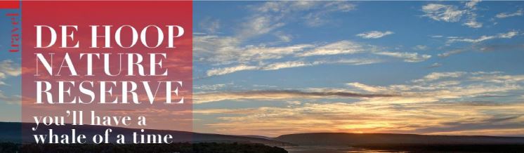 DE HOOP NATURE RESERVE YOU`LL HAVE A WHALE OF A TIME