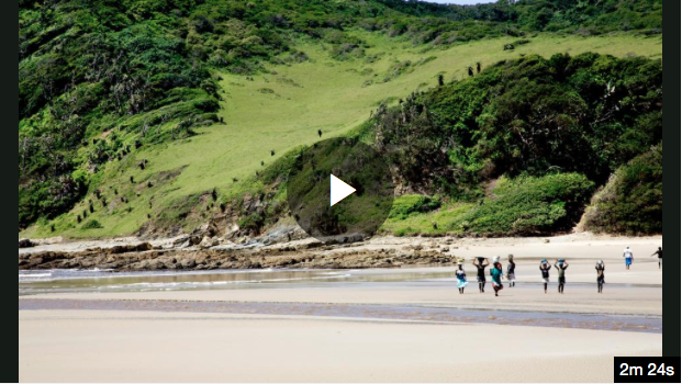 Getting fishy: What you should know about SA’s 19 marine protected areas