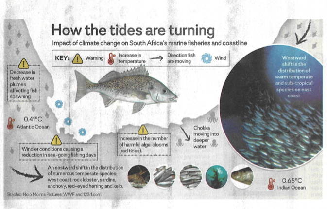 Fish in deep water as heat fuels sea change