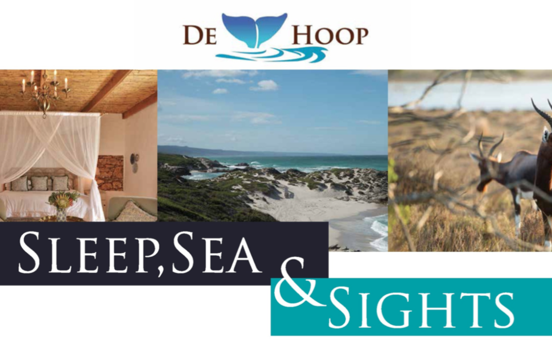 Sleep, Sea & Sights
