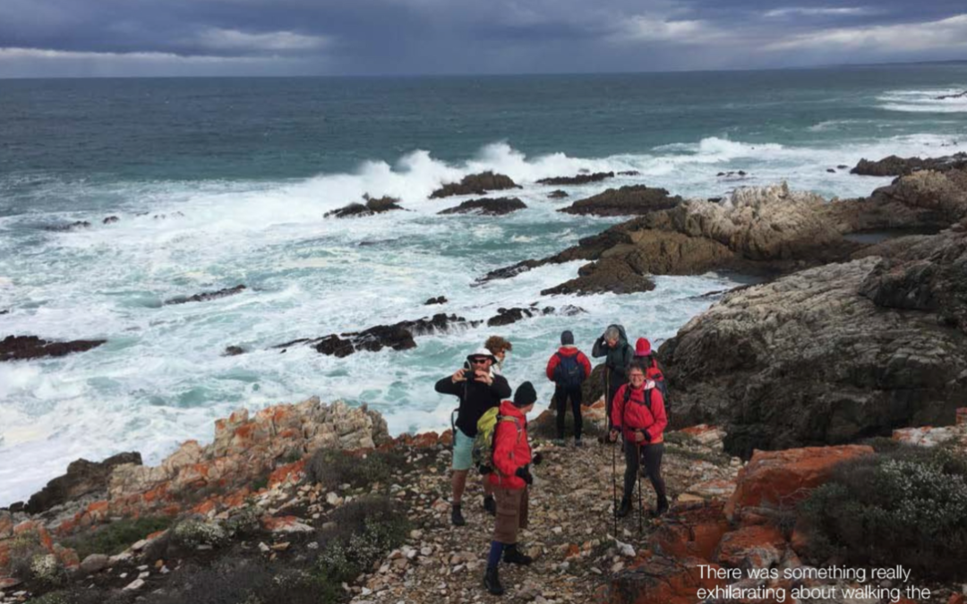 Walking with the whales