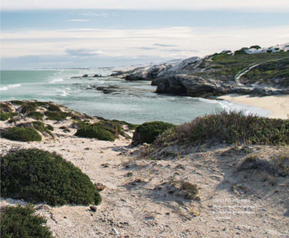 De Hoop springs eternal