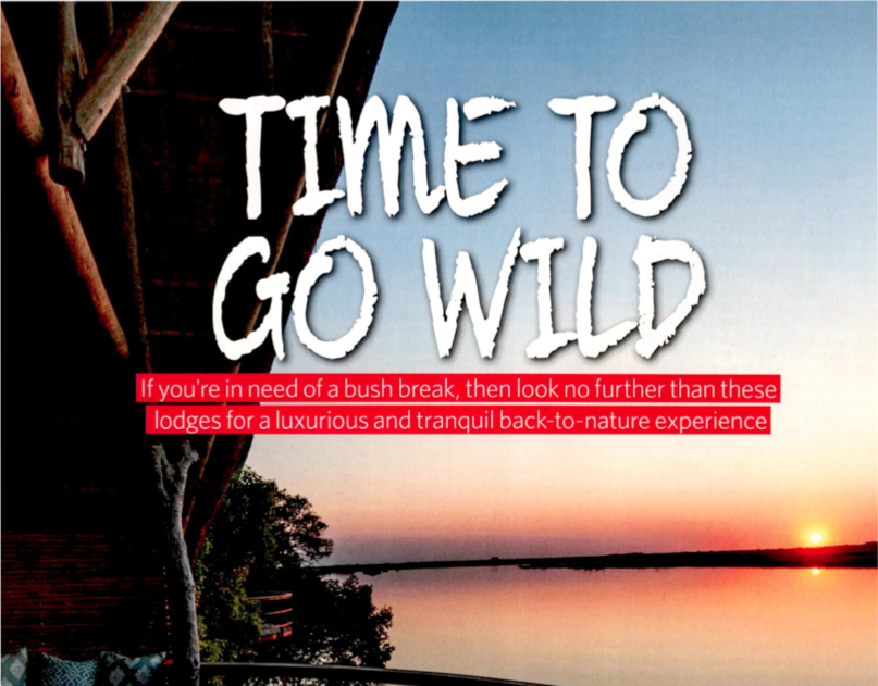 Time to go wild