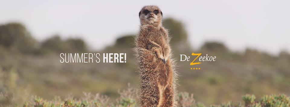 Cape Country Routes – Special Winter Offers