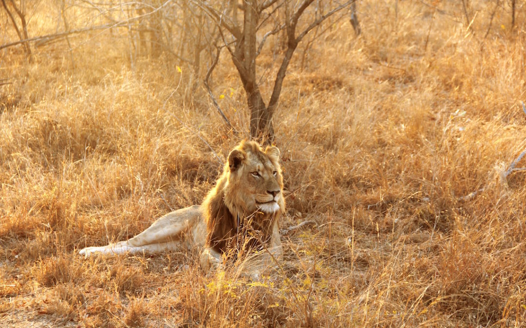 Heritage Month 2019: Free entry with SANParks and CapeNature