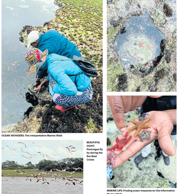Step back in time at unspoilt De Hoop gem