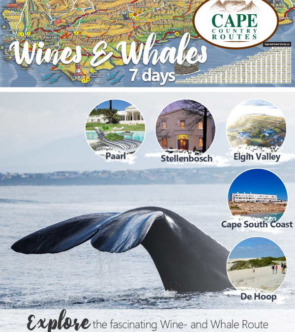 Cape Country Routes’ stunning Wine and Whales 7-day Tour Package