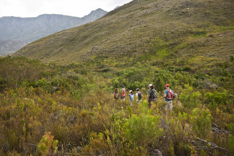 12 gorgeous spots for a day hike in the Western Cape during lockdown.